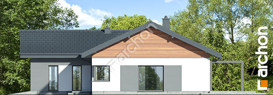 Боковой фасад Дом в жонкилях 3 (Г2Е)