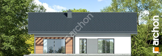 Дворовий фасад Будинок в жонкілях 3 (Г2Е)