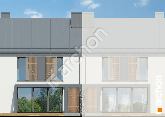 Дворовий фасад Будинок в нарцисах (С)