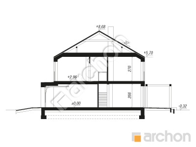 Проєкт будинку ARCHON+ Будинок в нарцисах (С) Розріз будинку