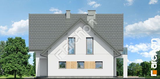 Бочний фасад Будинок в аморфах 2