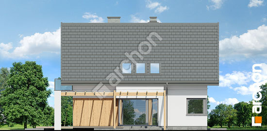 Бочний фасад Будинок в аморфах 2