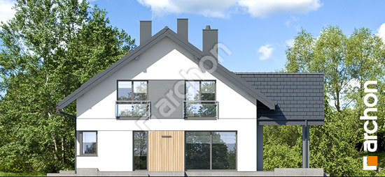 Дворовий фасад Будинок в аурорах 16 (Г2)