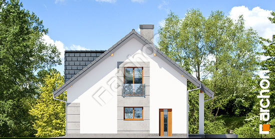 Бочний фасад Будинок у вістерії 4 (П)