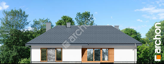 Дворовий фасад Будинок в навлоціях 2 (Г2)