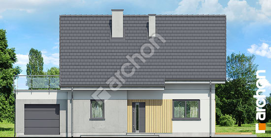 Передній фасад Будинок в хлорофітумі (ГНТ) вер. 2