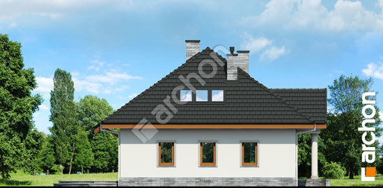 Боковой фасад Дом под красной рябиной 5 вер.2