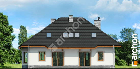 Дворовой фасад Дом под красной рябиной 5 вер.2