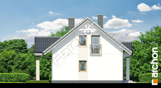 Боковой фасад Дом под вербой (Т)