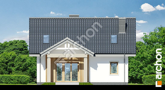 Дворовий фасад Будинок під вербою (Т)