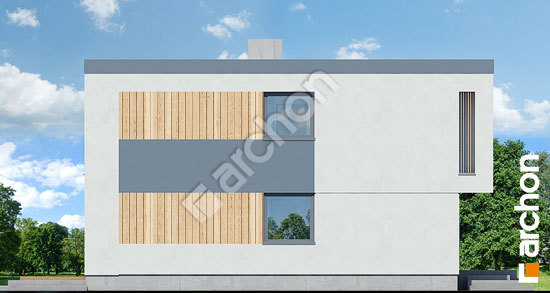 Боковой фасад ДОМ В ТУНБЕРГИЯХ 4 (Б)