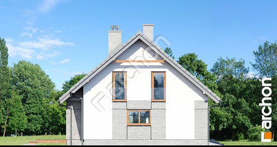 Бочний фасад Будинок в аурорах