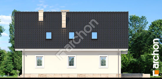 Дворовий фасад Будинок в авокадо 2