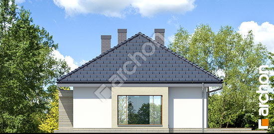 Боковой фасад Дом под красной рябиной 7 вер.2