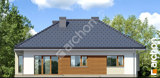 Дворовий фасад Будинок під червоною горобиною 7 вер.2