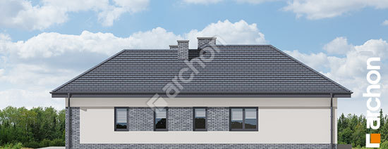 Боковой фасад Дом в навлоциях 6 (Г2)