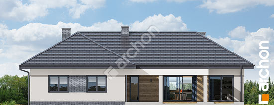 Дворовий фасад Будинок в навлоціях 6 (Г2)