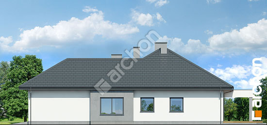 Бочний фасад Будинок в підсніжниках 2 (Г2)