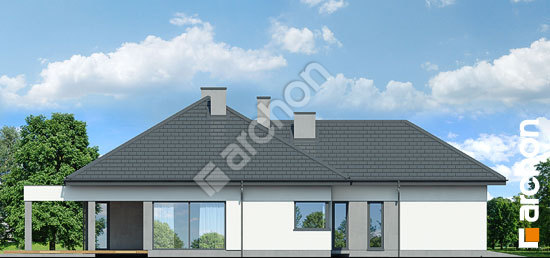 Бочний фасад Будинок в підсніжниках 2 (Г2)