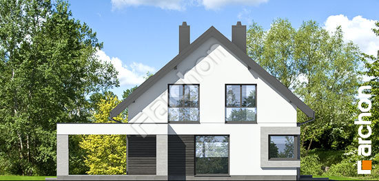 Бочний фасад Будинок у гвоздиках (Г2А)