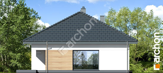 Бочний фасад Будинок в сантанах