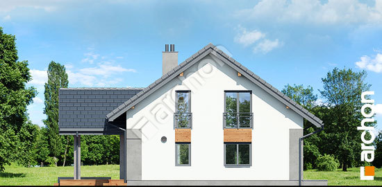 Боковой фасад Дом в аурорах 7 (Е)