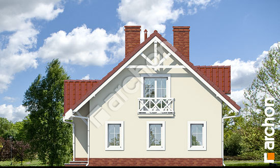 Бочний фасад Будинок в горошку вер. 2