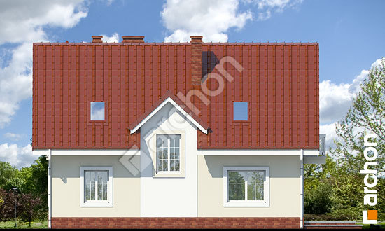 Дворовий фасад Будинок в горошку вер. 2