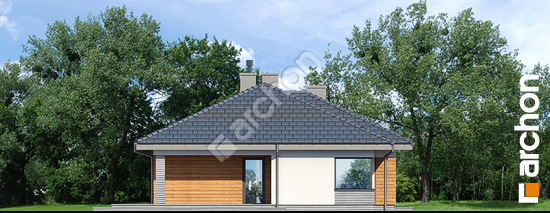 Бочний фасад Будинок в обрієті