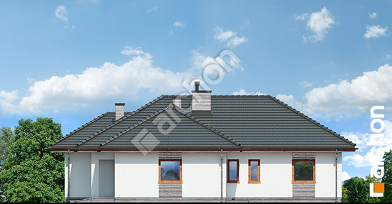 Бочний фасад Будинок в раванах