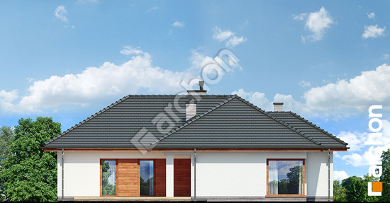 Боковой фасад Дом в раванах