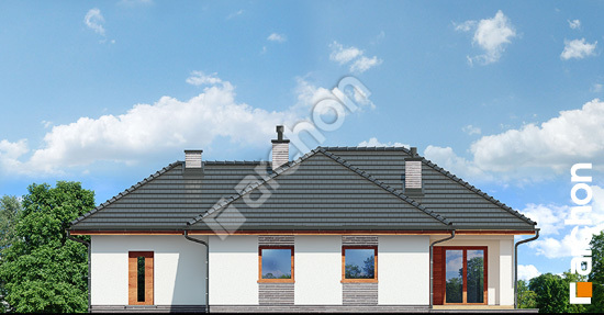 Дворовий фасад Будинок в раванах