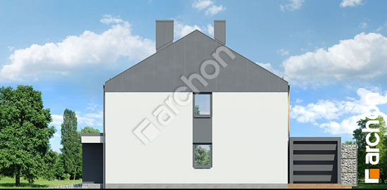 Бочний фасад Будинок в нарцисах (БТ) вер. 2