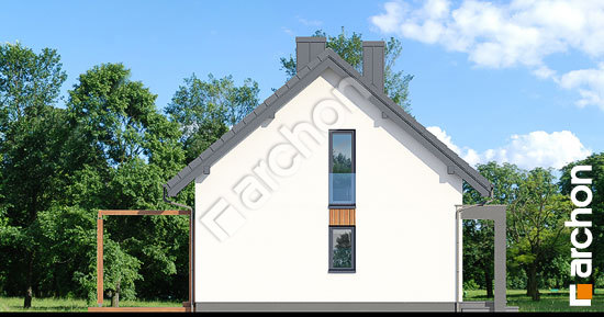 Боковой фасад Дом в бруснике (Н)