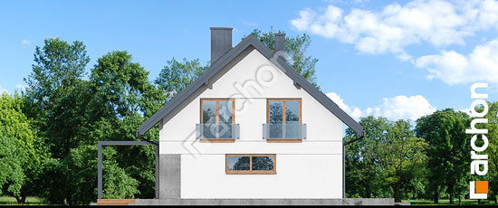 Боковой фасад Дом в айдаредах 11 (Г2)