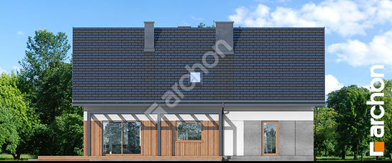 Дворовий фасад Будинок в айдаредах 11 (Г2)