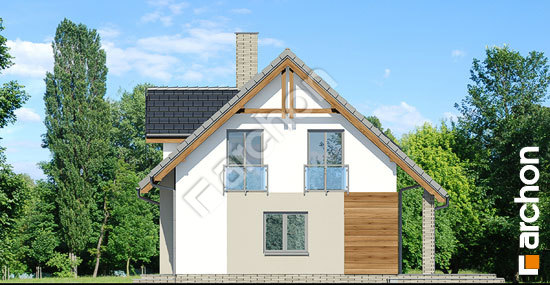 Боковой фасад Дом в хлорофитуме 5 вер.2 