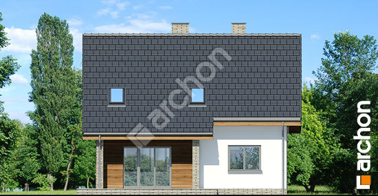 Дворовий фасад Будинок в хлорофітумі 5 вер.2 