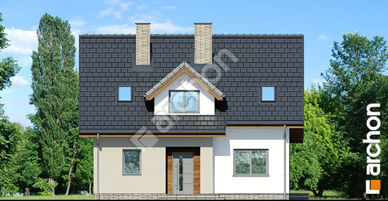 Передній фасад Будинок в хлорофітумі 5 вер.2 