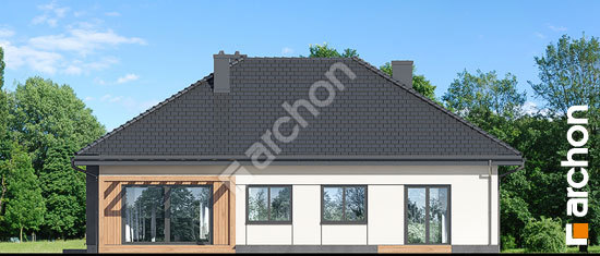 Дворовий фасад Будинок під червоною горобиною 23 (Г)