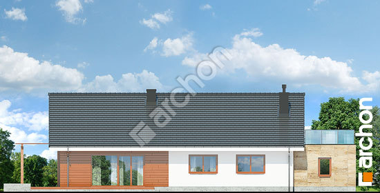 Дворовой фасад Дом под красной рябиной 17 (НТ)