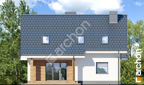 Дворовий фасад Будинок в яблонках 4 (П)