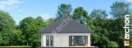 Дворовий фасад Будинок в кросандрах (Г2)