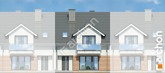 Дворовий фасад Будинок під агавами 3 (С)