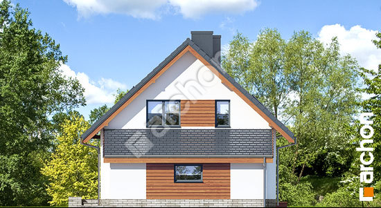 Бочний фасад Будинок в хлорофітумі 3 (Г)