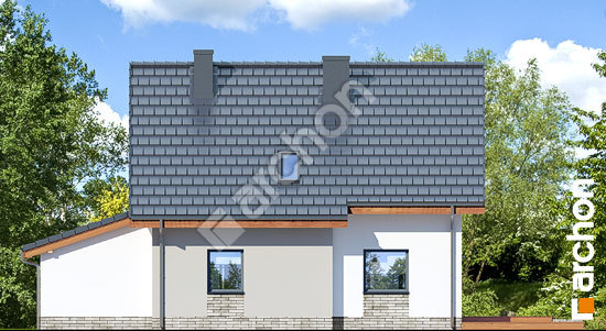 Дворовой фасад Дом в хлорофитуме 3 (Г)