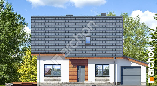 Передній фасад Будинок в хлорофітумі 3 (Г)