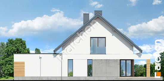 Бочний фасад Будинок в сантині (Г2)