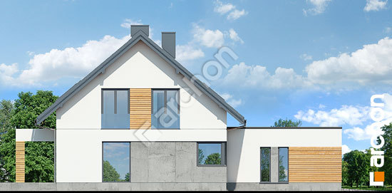 Бочний фасад Будинок в сантині (Г2)