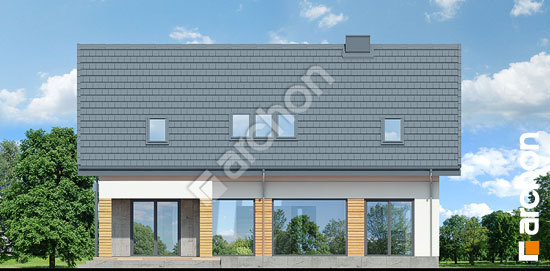 Дворовий фасад Будинок в сантині (Г2)